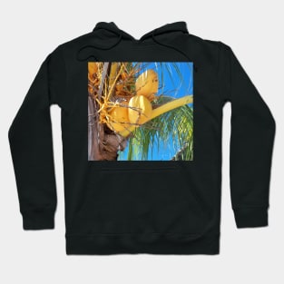 Coconut tree Hoodie